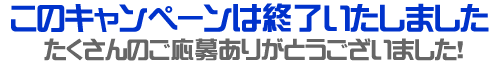 ティファニーゴシッククロスペンダント終了